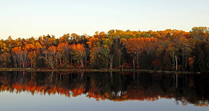 Autumn Colors And Reflections Key River
