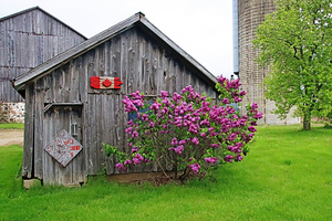 Rustic Farm