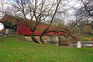 West Montrose Covered Bridge And Willow Tree