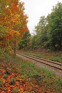 Autumn By The Tracks