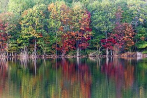 Camping In Fall On Moon River