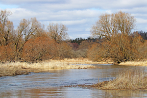 Early Spring At Wilsons Flats