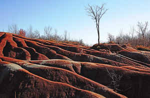 Exposed And Eroded Badlands