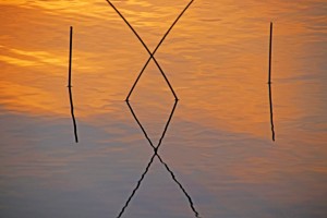 IXI Reflection