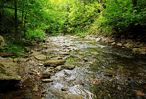 Kagawong River II