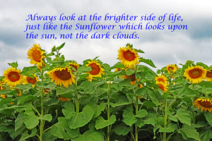 Look On The Bright Side Of Life