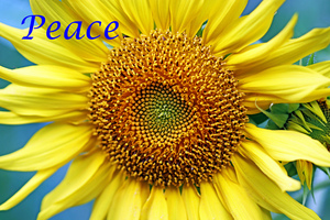 Peace