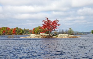 Red Maple Island
