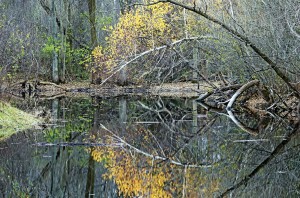 Reflecting