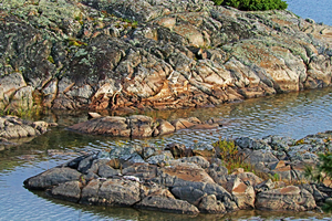 Rocks In The Bay