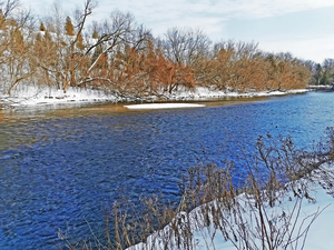Speed River Winter Blues