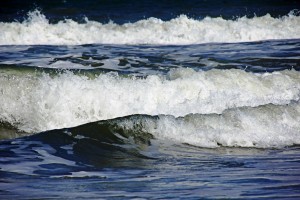 Surf