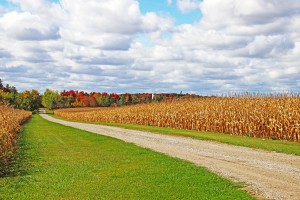 The Fall Farm