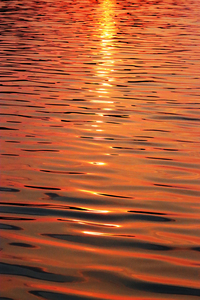 The Golden Path