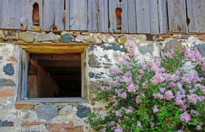 Window Framed Print