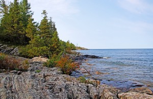 Wreck Island Landscape VI