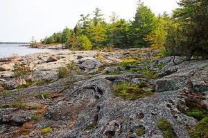 Wreck Island Landscape VII