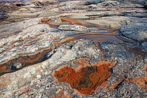 Wreck Island Rock Abstract