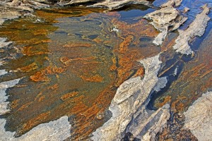 Wreck Island Rock Abstract IV