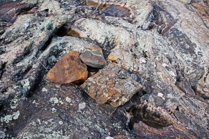 Wreck Island Rock Abstract VII