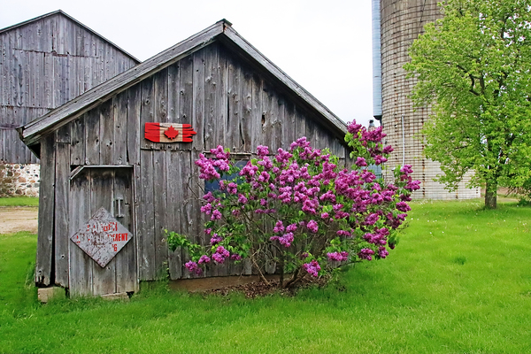 Rustic Farm Print