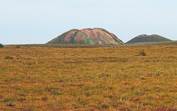 Pingo Canadian Landmark Print