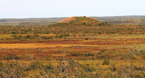 Pingo And Tundra Print