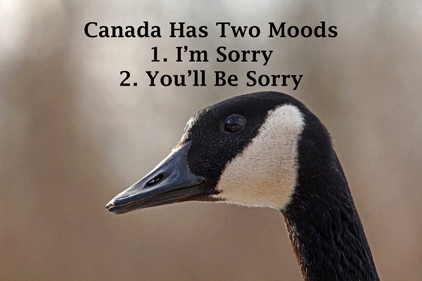 Canadian Moods Print