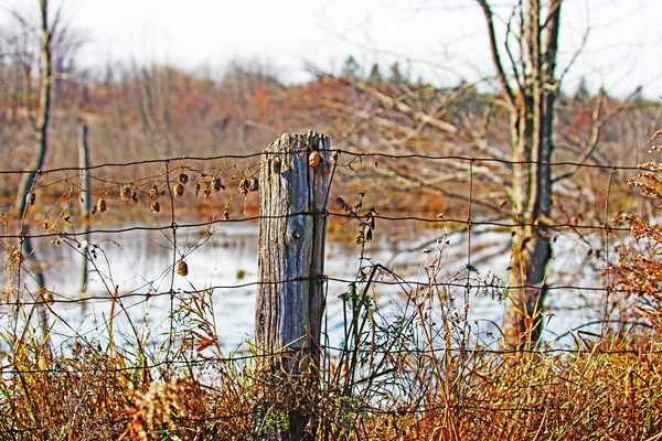 Autumn Landscape Decor by Deb Oppermann