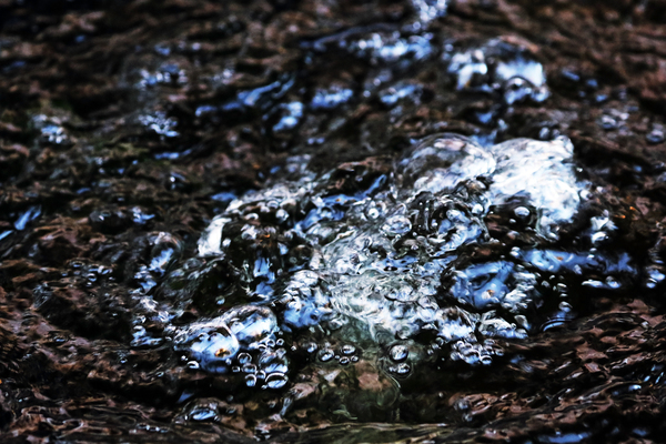 Bubbles In Pond Print