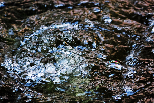 Bubbly Print