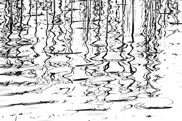 Chaotic Black And White Abstract by Deb Oppermann