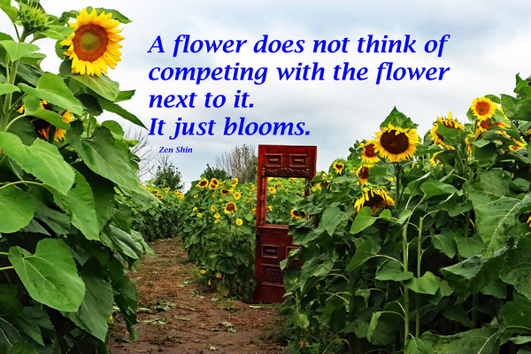 Competition Quote Print