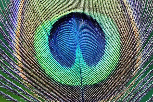Eye Catching by Deb Oppermann