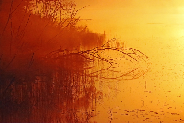 Foggy Glowing Sunrise Print