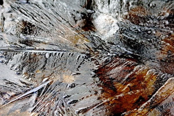 Frozen by Deb Oppermann