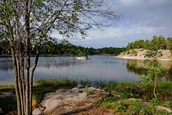 Good Morning Print