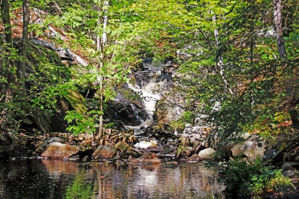 Hidden Falls In Dappled Light by Deb Oppermann