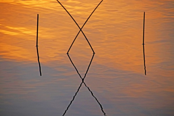 IXI Reflection Print