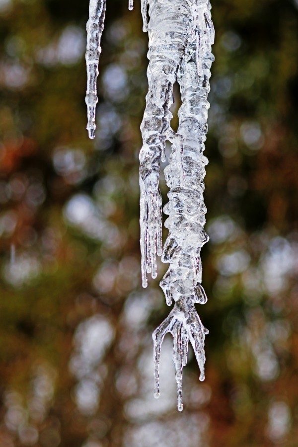 Icicles Print