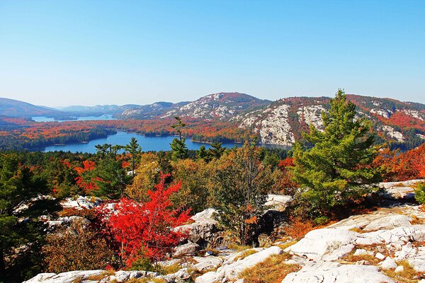 Killarney Fall Print