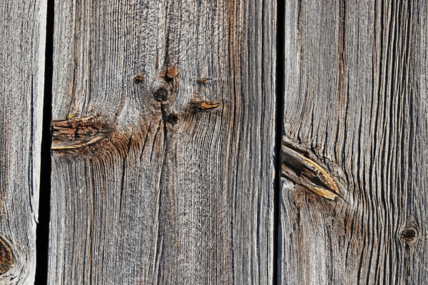 Knots And Texture by Deb Oppermann