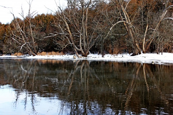 Late Fall Print