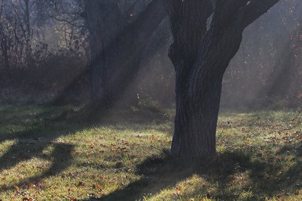 Light And Shadow Print