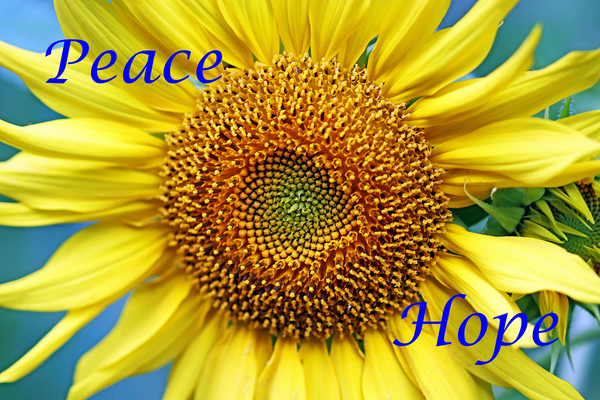 Peace Hope Print