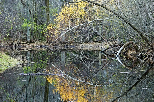 Reflecting by Deb Oppermann
