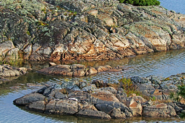 Rocks In The Bay by Deb Oppermann