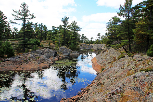 Secluded Inlet Print