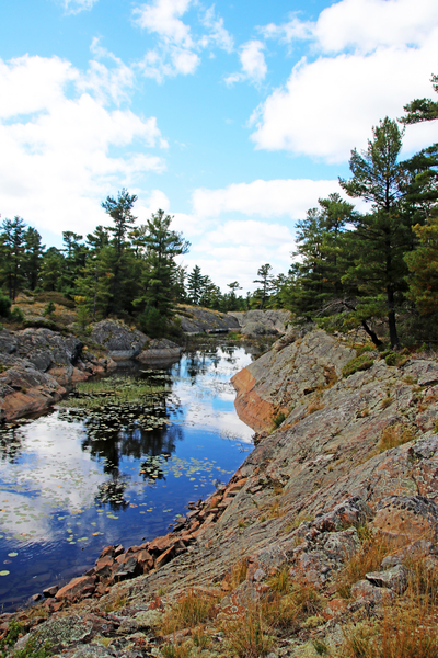Secluded Inlet I Print