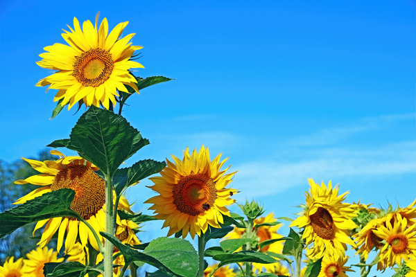 Stand Out In The Crowd by Deb Oppermann